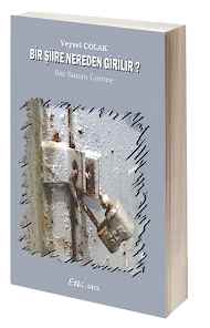 Bir Şiire Nereden Girilir? Şiir Sanatı Üzerine Yazılar kapağı