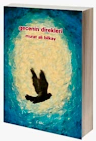 Gecenin Direkleri kapağı