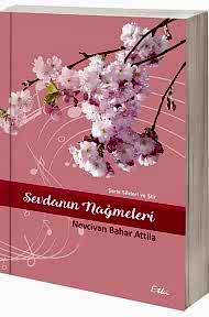 Sevdanın Nağmeleri kapağı